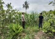 Langkah Tak Terduga Bhabinkamtibmas di Labuapi: Sukseskan Ketahanan Pangan Nasional