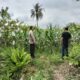Bhabinkamtibmas Labuapi Dorong Petani, Ini yang Dilakukannya