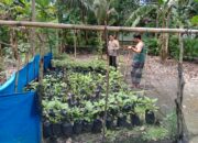 Polres Lombok Tengah Apresiasi Masyarakat Manfaatkan Lahan Kosong untuk Pekarangan Bergizi