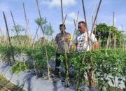 Bhabinkamtibmas Desa Gemel Polsek Jonggat Sambangi Lahan Warga Binaan Dukung Ketahanan Pangan