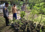 Bhabinkamtibmas Desa Batujangkih Polsek Prabarda Tinjau Pekarangan Bergizi Milik Warga Binaan.