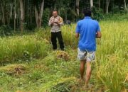Polisi dan Petani Lombok Bersatu Jaga Ketahanan Pangan