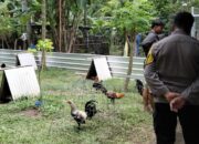 Polsek Batulayar: Garda Terdepan Keamanan Lombok Barat