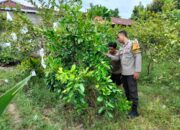 Polisi di Labuapi Ubah Lahan Tidur Jadi Lumbung Pangan, Ini Buktinya!