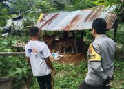 Polres Lombok Barat Dorong Masyarakat Ubah Lahan Kosong Jadi Lumbung Pangan