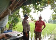 Polisi di Lombok Barat Ini Ajak Warga Mandiri Pangan