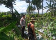 Bhabinkamtibmas Dukung Petani, Warga Semakin Semangat!