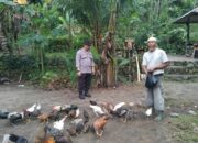 Polsek Batulayar Dukung Ketahanan Pangan, Warga Antusias!