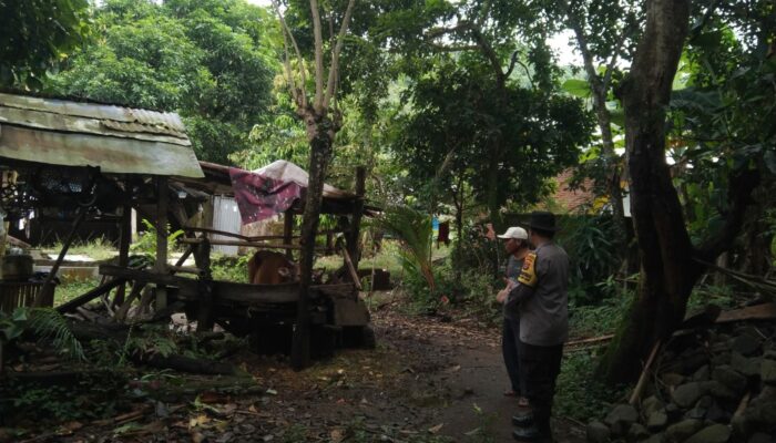 Dukung Ketahanan Pangan, Polsek Batulayar Ajak Warga Manfaatkan Pekarangan