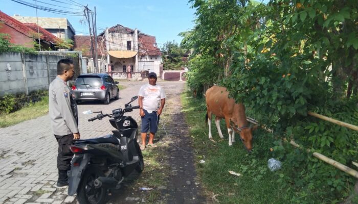Optimalisasi Lahan Pekarangan untuk Ketahanan Pangan Keluarga