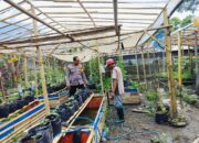 Polsek Labuapi Dukung Program Ketahanan Pangan Lewat Kegiatan Sambang di Desa Bajur