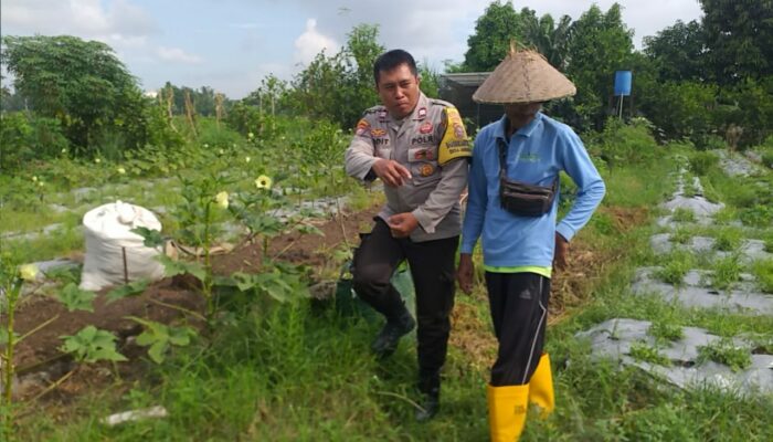 Bhabinkamtibmas Dorong Ketahanan Pangan Desa di Lombok Barat