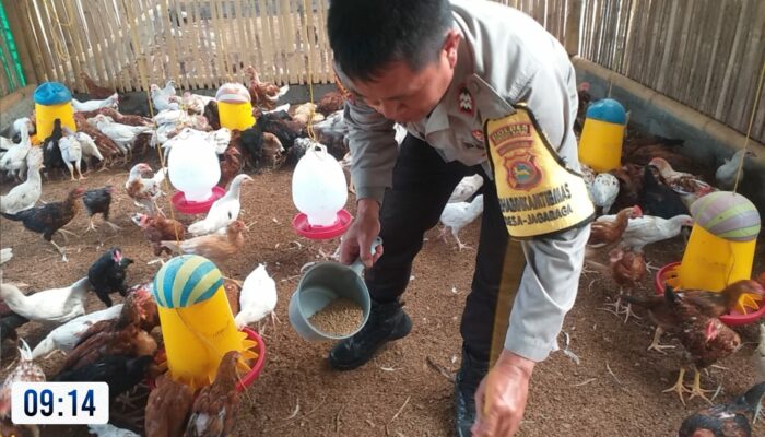 Bhabinkamtibmas Jagaraga Dorong Ketahanan Pangan Lewat Kunjungan ke Peternak