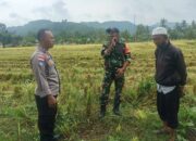 Polisi Sambangi Sawah, Warga Senang dan Aman