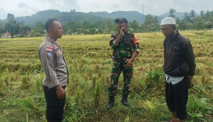Polisi Sambangi Sawah, Warga Senang dan Aman
