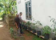 Sinergi Bhabinkamtibmas dan Warga Dukung Ketahanan Pangan di Lombok Barat