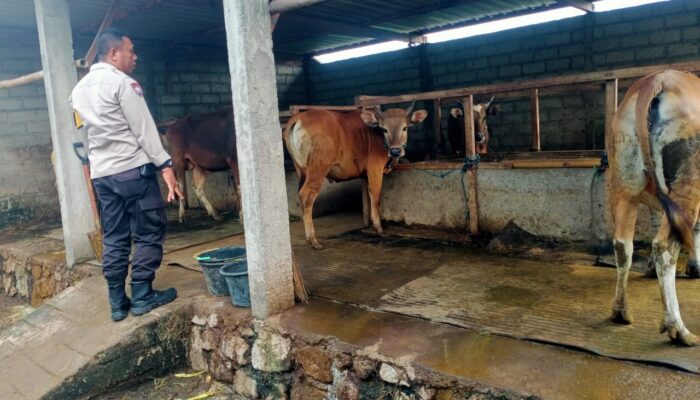 Bhabinkamtibmas Karang Bongkot Bantu Warga Kembangkan Peternakan