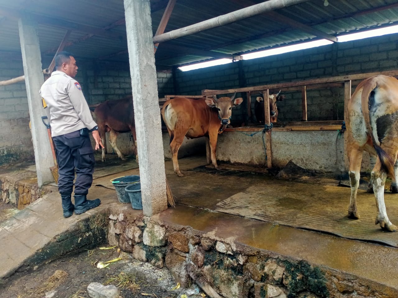 Dekatkan Diri ke Warga, Bhabinkamtibmas Dorong Usaha Ternak