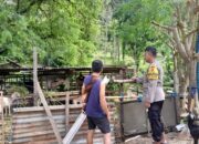 Sentuhan Bhabinkamtibmas: Petani Lombok Barat Berdaya!