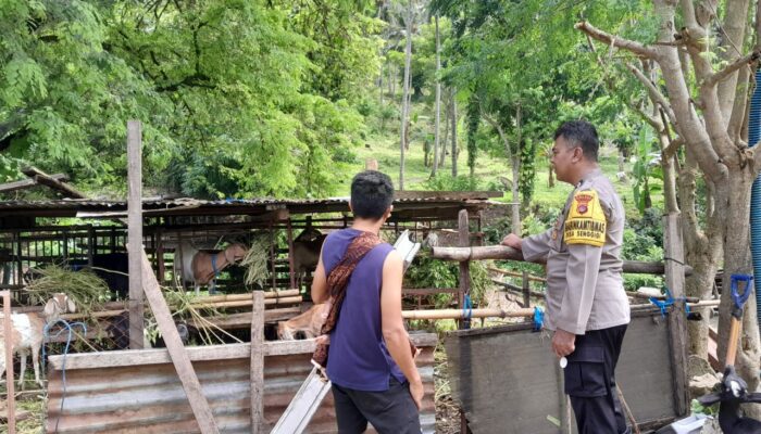 Sentuhan Bhabinkamtibmas: Petani Lombok Barat Berdaya!
