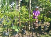 Polsek Batulayar Dukung Ketahanan Pangan Lewat Sosialisasi Langsung ke Warga