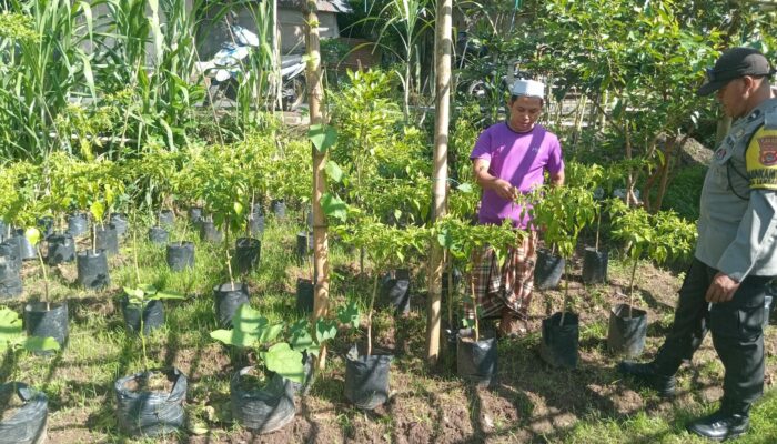 Polsek Batulayar Dukung Ketahanan Pangan Lewat Sosialisasi Langsung ke Warga