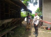 Bhabinkamtibmas Proaktif Dorong Ketahanan Pangan Warga di Kuripan