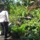 Bhabinkamtibmas Kuripan Aktif Sosialisasikan Program Pangan