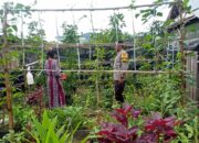 Tingkatkan Ketahanan Pangan, Bhabinkamtibmas Desa Beru Aktif Dampingi Masyarakat Manfaatkan Pekarangan Rumah