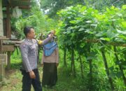 Sukseskan Ketahanan Pangan, Bhabinkamtibmas Desa Seran Dampingi Warga Kelola Lahan Pangan Bergizi