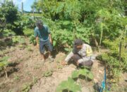 Bhabinkamtibmas Desa Bukit Damai Lakukan Pendampingan dan Monitoring Ketahanan Pangan