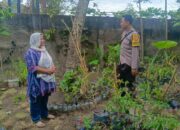 Silaturahmi DDS Dorong Warga Desa Perampuan Manfaatkan Pekarangan