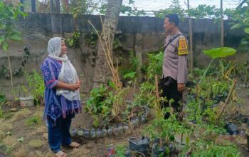Silaturahmi DDS Dorong Warga Desa Perampuan Manfaatkan Pekarangan