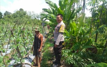 Polsek Kuripan Aktif Sosialisasi Ketahanan Pangan ke Petani Desa Jagaraga