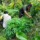 Polri dan Petani Bersatu Wujudkan Program Pangan Nasional di Lombok Barat