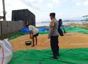 Polisi Sambangi Petani Jagung, Wujud Nyata Sinergi dan Keamanan Pangan
