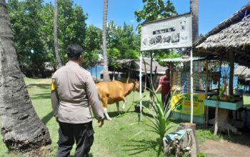 Sinergi Polisi dan Warga Wujudkan Ketahanan Pangan di Lombok Barat