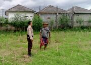 Polisi Dorong Ketahanan Pangan Desa Terong Tawah Lewat Pemanfaatan Pekarangan