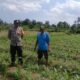 Sinergi Polri dan Petani: Polsek Gerung Galakkan Pemanfaatan Lahan Pekarangan untuk Pangan Bergizi