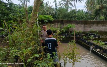 Kunjungan Bhabinkamtibmas: Edukasi Pemuda tentang Ketahanan Pangan Pekarangan