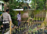 Polsek Kuripan Dorong Ketahanan Pangan Lewat Kunjungan Warga