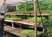 Polsek Labuapi Dukung Ketahanan Pangan Lewat Sambang Desa