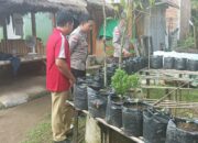 Polsek Sekotong Dukung Program Ketahanan Pangan Nasional Lewat Pekarangan Bergizi