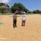Bhabinkamtibmas Desa Hu’u Pantau Penjemuran Jagung, Imbau Warga Waspadai Curah Hujan