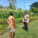 Dukung Program Asta Cita Swasembada Pangan, Bhabinkamtibmas Desa Maluk Lakukan Monitoring Lahan Jagung Warga