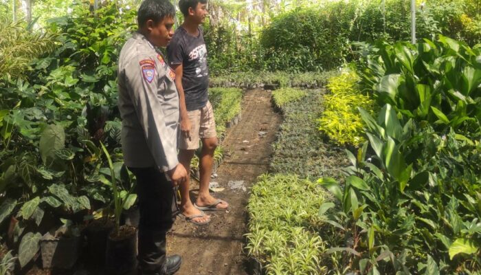 Banyumulek Barat Dorong Kemandirian Pangan Lewat Pekarangan Rumah