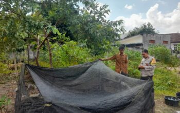 Bhabinkamtibmas Gelogor Dorong Warga Tanam Pangan di Halaman Rumah