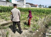 Sinergi Polsek Labuapi Dorong Ketahanan Pangan Desa