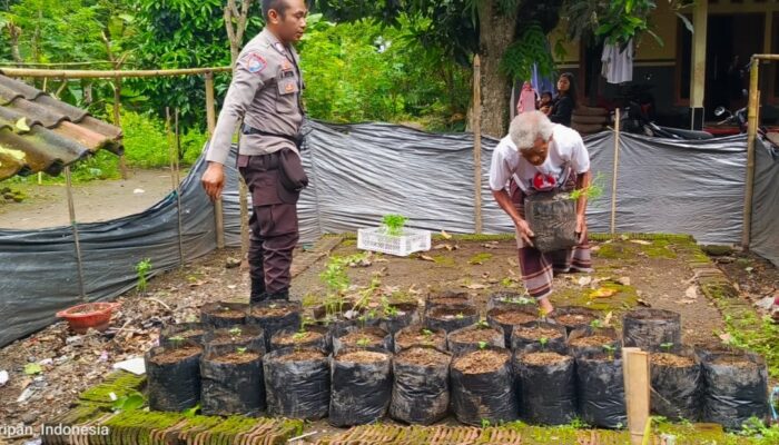 Bhabinkamtibmas Kuripan Utara Dorong Ketahanan Pangan Rumah Tangga