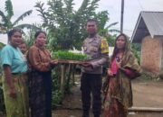 Bhabinkamtibmas Mareje Distribusikan Bibit Cabai untuk Ketahanan Pangan